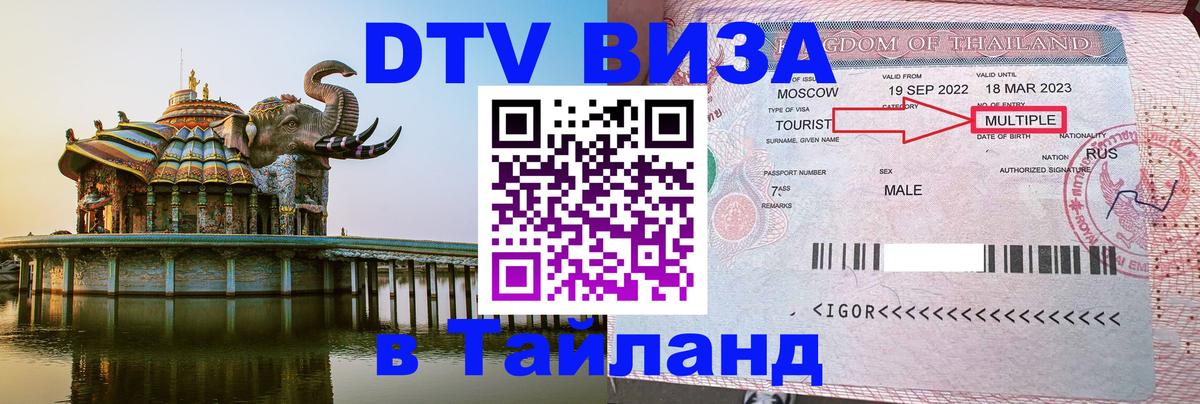Оформление DTV визы под ключ: стоимость и тарифы, только загранпаспорт - 